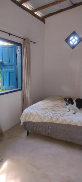 Casa Rústica Pet
